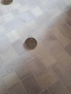 2 ������� 1984 ��� ����