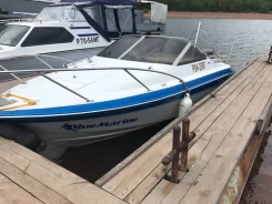 Yamaha FR-18. 1996 ���, ��������� ���������, ������ ����