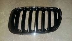 Решетка радиатора. BMW X5, E53 Двигатели: M54B30, M57D30TU