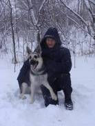 Персональный водитель. Средне-специальное образование, опыт работы 10 лет