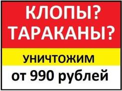 Уничтожение насекомых
