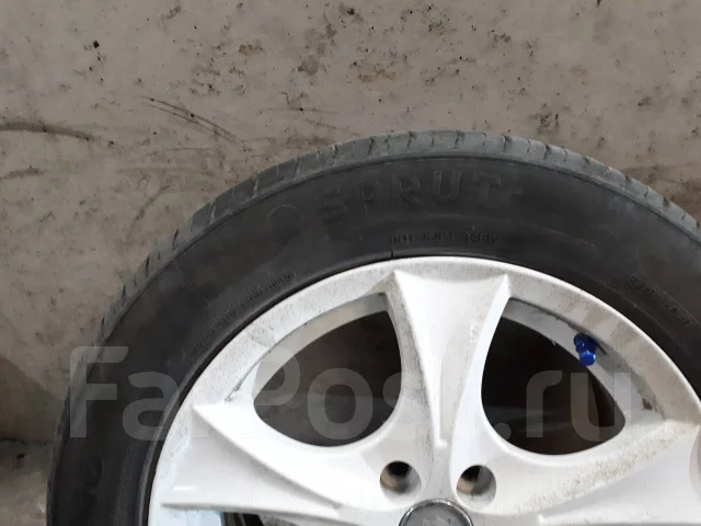 Sprut. ������, �/�, ����� 40 % ����