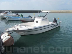 Yamaha UF-21. 2000 ���, ����� 5,7��., ��������� ������������, 80��.�., ������. ��� ����� �� ������������ ����