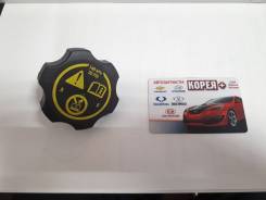 Крышка расширительного бачка. Chevrolet: Malibu, Cobalt, Corvette, Onix, Equinox, Sail, Cruze, Aveo, Tracker, Impala, Spin, Spark, Volt, Colorado, Orl...
