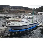 Yamaha UF-25. 1990 ���, ����� 6,8��., ��������� ���������, 249��.�., ������. ��� ����� �� ������������ ����