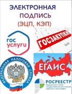 Электронная подпись (ЭЦП) для ФНС, Госуслуги, ОФД, ЕГАИС. в Уссурийске Электронная подпись (ЭЦП) для ФНС, Госуслуги, ОФД, ЕГАИС.