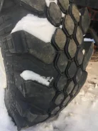Superstone Crocodile Xtreme. ����� mt, ����� ����
