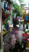 Продам готовый бизнес