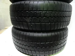 Michelin Agilis 51 Snow-Ice. ������, ��� �����, �/�, ����� 10 % ����
