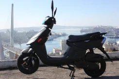 GES. 49����. ��., ��������, ��� ���, ��� ������� ����