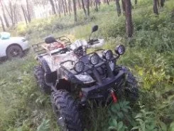 Yamaha Grizzly 250. ��������, ��� ���\���, �� ����