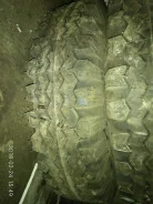 ��� �-245. �����������, 2000 ���, ����� ����