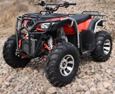 Yamaha Grizzly 250. ��������, ��� ���\���, ��� �������. ��� ����� �� ������������ ����