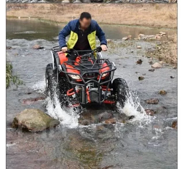 Yamaha Grizzly 250. ��������, ��� ���\���, ��� �������. ��� ����� �� ������������ ����