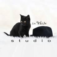 Фотостудия Studio IN White предлагает фотосессии от 800р.