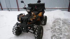 Wels Bison. ��������, ���� ���\���, � �������� ����