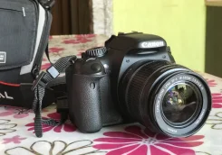 Canon EOS 550D. 15 - 19.9 ��, ���: 14� � ����� ����