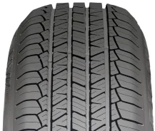 Tigar SUV Summer