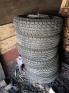 WolfTyres. ������, ��� �����, �/�, ����� 5�% ����