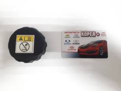 Крышка расширительного бачка. SsangYong: Actyon, Tivoli, Rexton, Musso, Korando, Kyron Двигатели: E23, D20DT, D20DTF, D20DTR