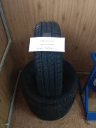 Tunga Camina. ������, 2016 ���, ����� ����