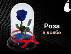 Розы.
