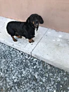 �����. ����