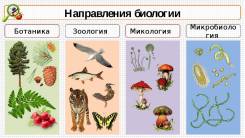 Репетитор по биологии