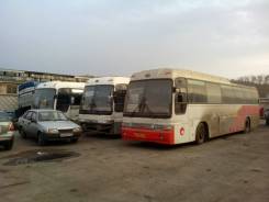 Kia Granbird. , 45 мест