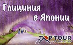 Япония. Токио. Экскурсионный тур. Глициния в Японии. Токио, парк цветов Асикага + Хаконэ. Апрель. Май