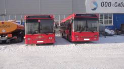 ПАЗ 3237. Паз 3237, 55 мест