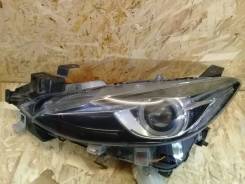 Фара. Mazda Mazda3, BM Двигатели: SHVPTS, P5VPS, ZMDE, PEVPS