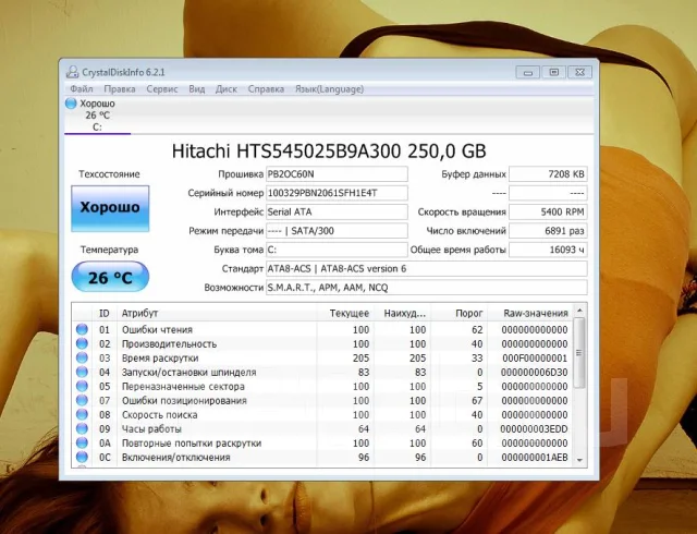 Asus K50IP. 15.6", 2 300����, ��� 3072 ��, ���� 250���, WiFi: 1 ����
