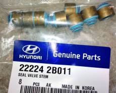 Маслосъемные колпачки. Hyundai: ix35, i40, i20, Sonata, Accent, Elantra, Creta, Avante, i30, ix20, Veloster, Tucson, i10, Solaris Kia: Optima, Cerato...