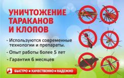Уничтожение тараканов и клопов.