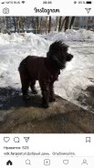 ������. ����