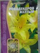 Рододендрон.