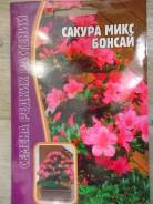 Сакура.