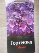 Гортензия.