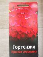 Гортензия.
