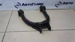 Рычаг, тяга подвески. Volkswagen Passat, 3B2, 3B3, 3B5, 3B6 Audi S6, 4B2, 4B4, 4B5, 4B6 Audi A6, 4B2, 4B4, 4B5, 4B6 Двигатели: 1Z, ACK, ADP, ADR, AEB...