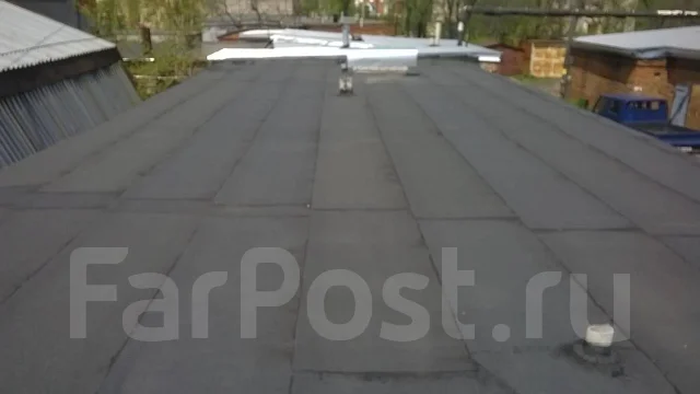������ ������. ����