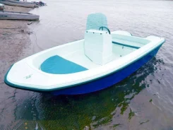 Wyatboat WB-430C. 2018 ���, ����� 4,25��., ��������� ���������, 60��.�. ��� ����� �� ������ ����