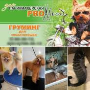 Стрижка собак и кошек