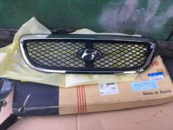 Решетка радиатора. Hyundai Terracan Двигатель D4BH