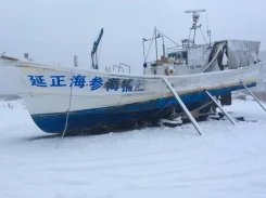 Yanmar. 1993 ���, ����� 14,5��., ��������� ������������, 220��.�., ������. ��� ����� �� ���������� ����