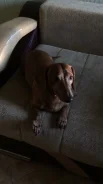 �����. ����