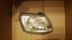 Габаритный огонь. Toyota Caldina, AT191, AT191G, CT190, CT190G, CT196, CT196V, ST190, ST190G, ST191, ST191G, ST195, ST195G Двигатели: 2C, 2CT, 3SFE, 3...