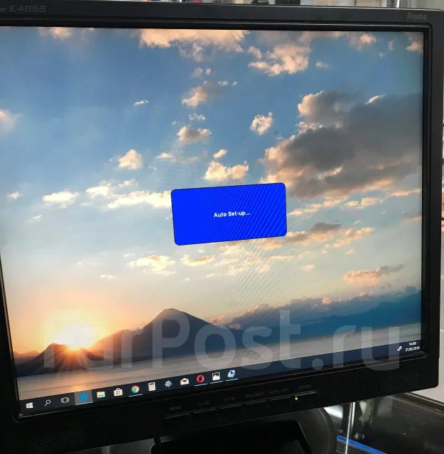 iiyama. 19" ����