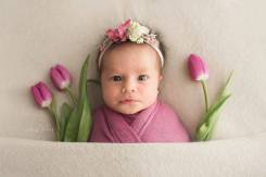 Фотограф новорожденных (newborn) Елена Новоселова